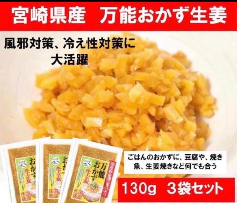 メルカリShops - 【宮崎のお漬物】万能おかず生姜 130ｇ×3袋 お漬物 上沖産業