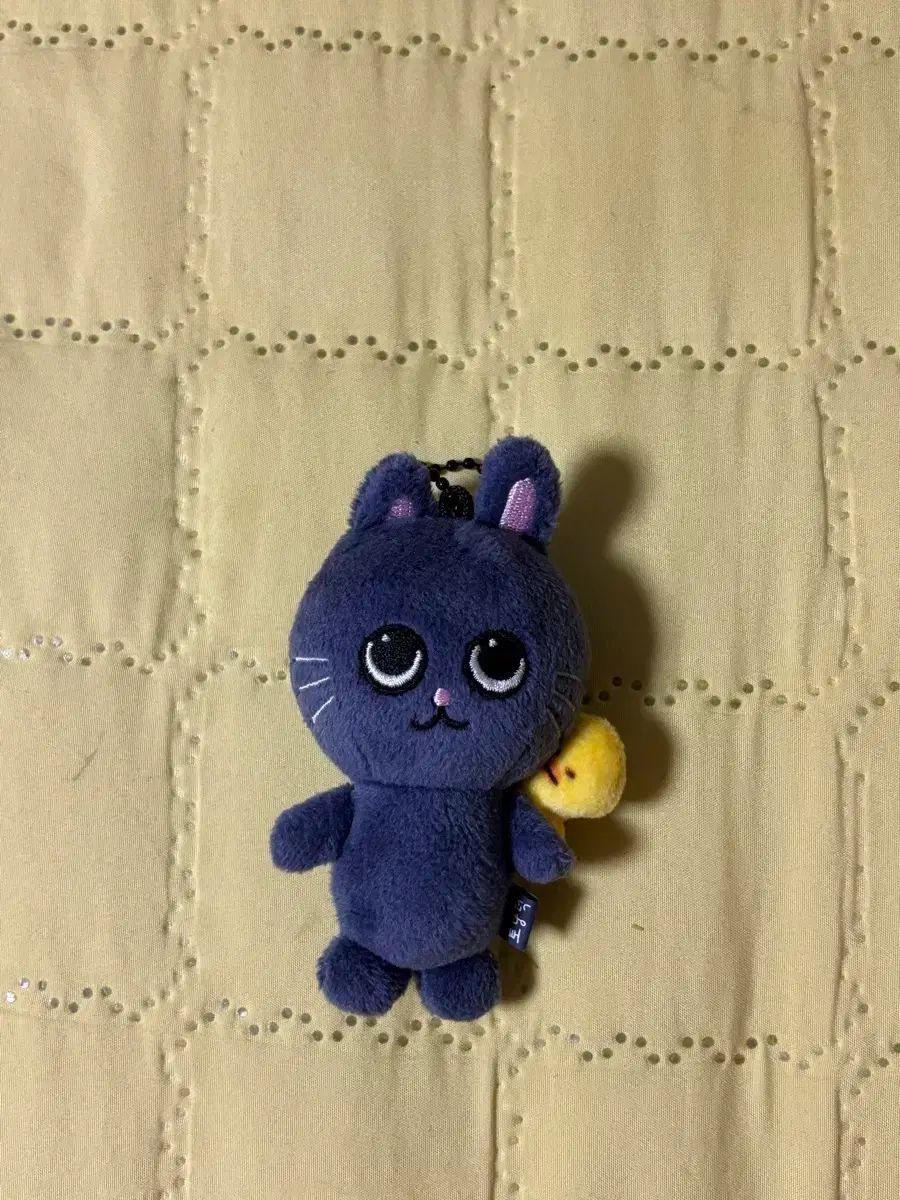 RIIZE ライズ　ぬいぐるみ　40cm ウォンビン 40cm ウォンビン トニャント ぬいぐるみ ライズ riize トレカ