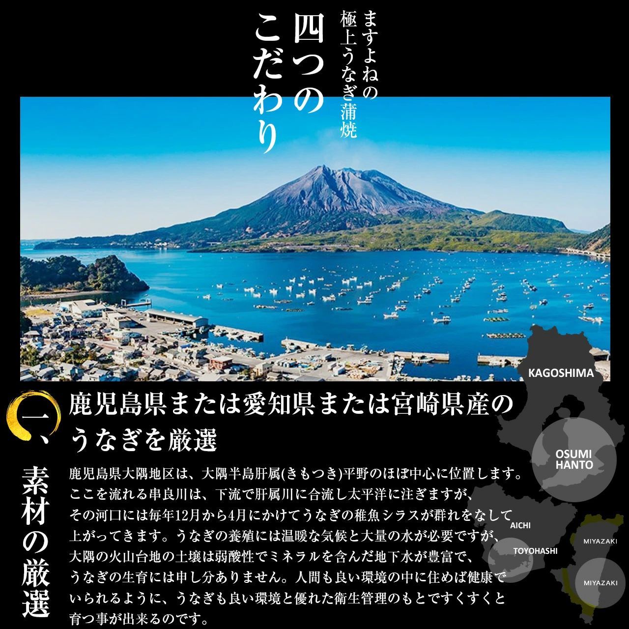 蒲焼き 上うなぎ蒲焼2本セット