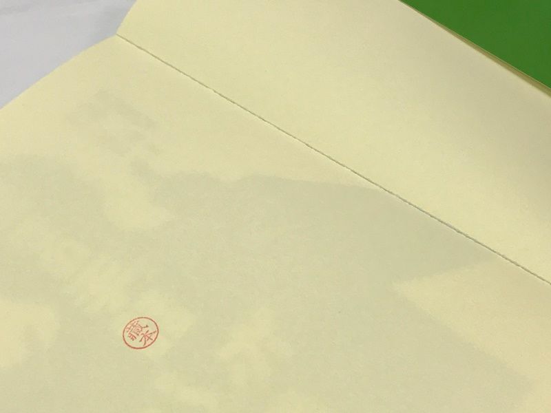 DVD付き】驚きの手話 「パ」「ポ」翻訳 坂田加代子 707 Amazing