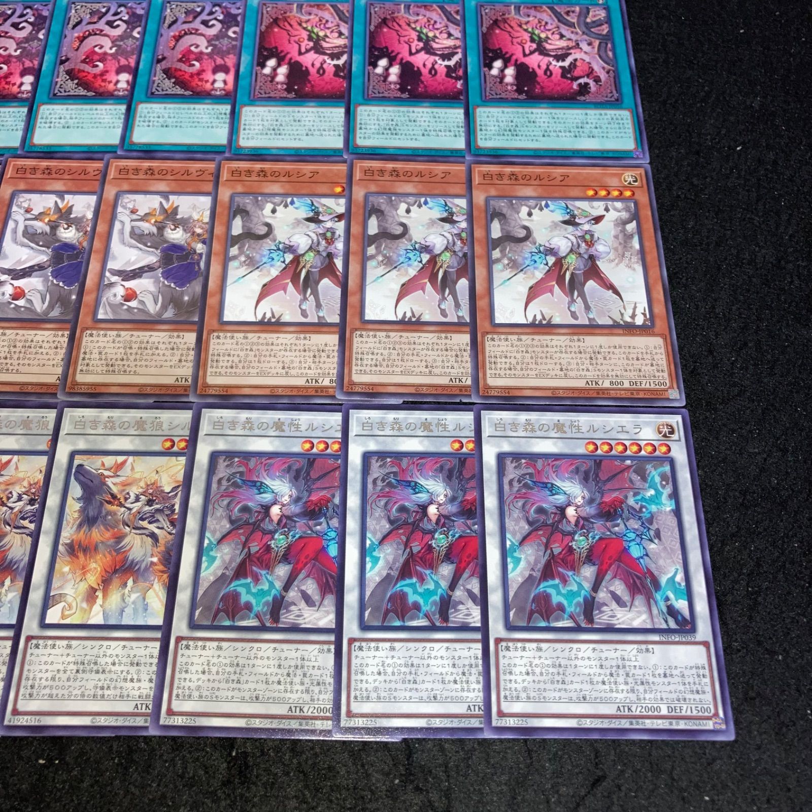 わんわんさん専用遊戯王　白き森の魔狼シルウィア　25th クオシク　米版1st 遊戯王 INFO-EN038 白き森の魔狼シルウィア (英語版 1st Edition