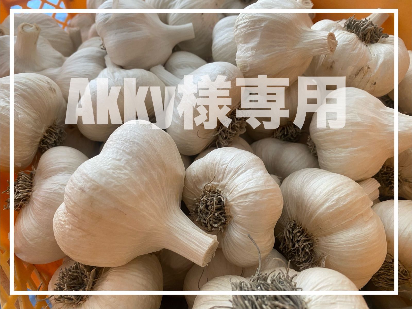 ⬛️Akky様専用⬛️にんにく⬛️ランクCD⬛️20kg⬛️送料込