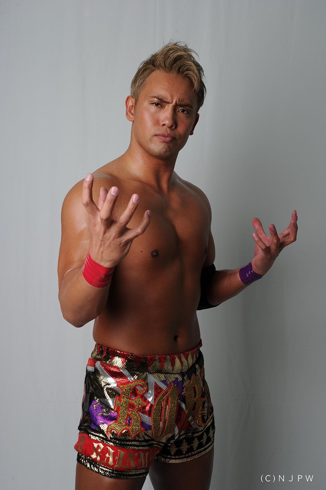 新日本プロレス総集編2016上半期 [DVD] 【公式通販】