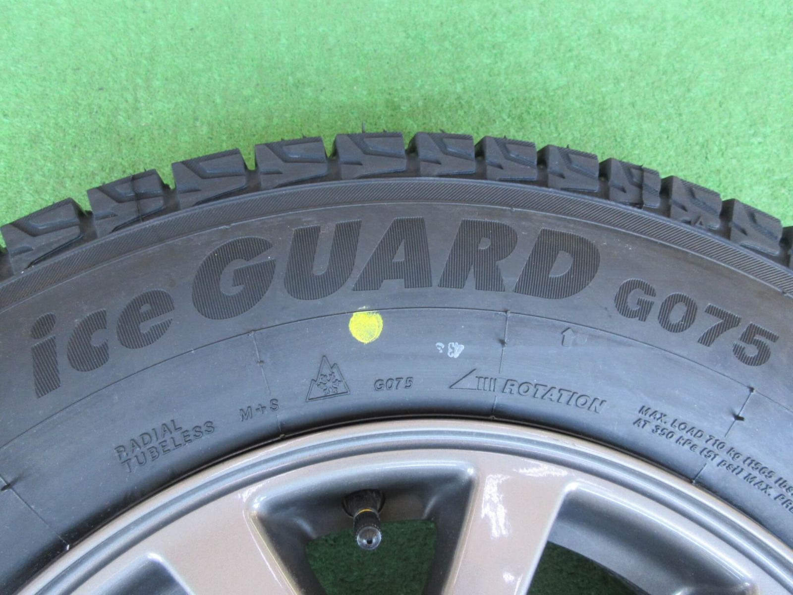 アイスガード付き