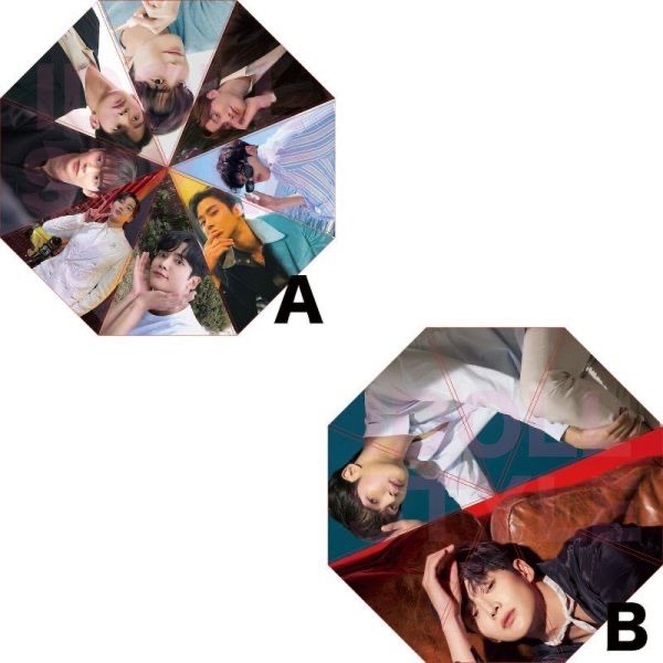 ロウン傘 折りたたみ傘/俳優 ロウン - メルカリ