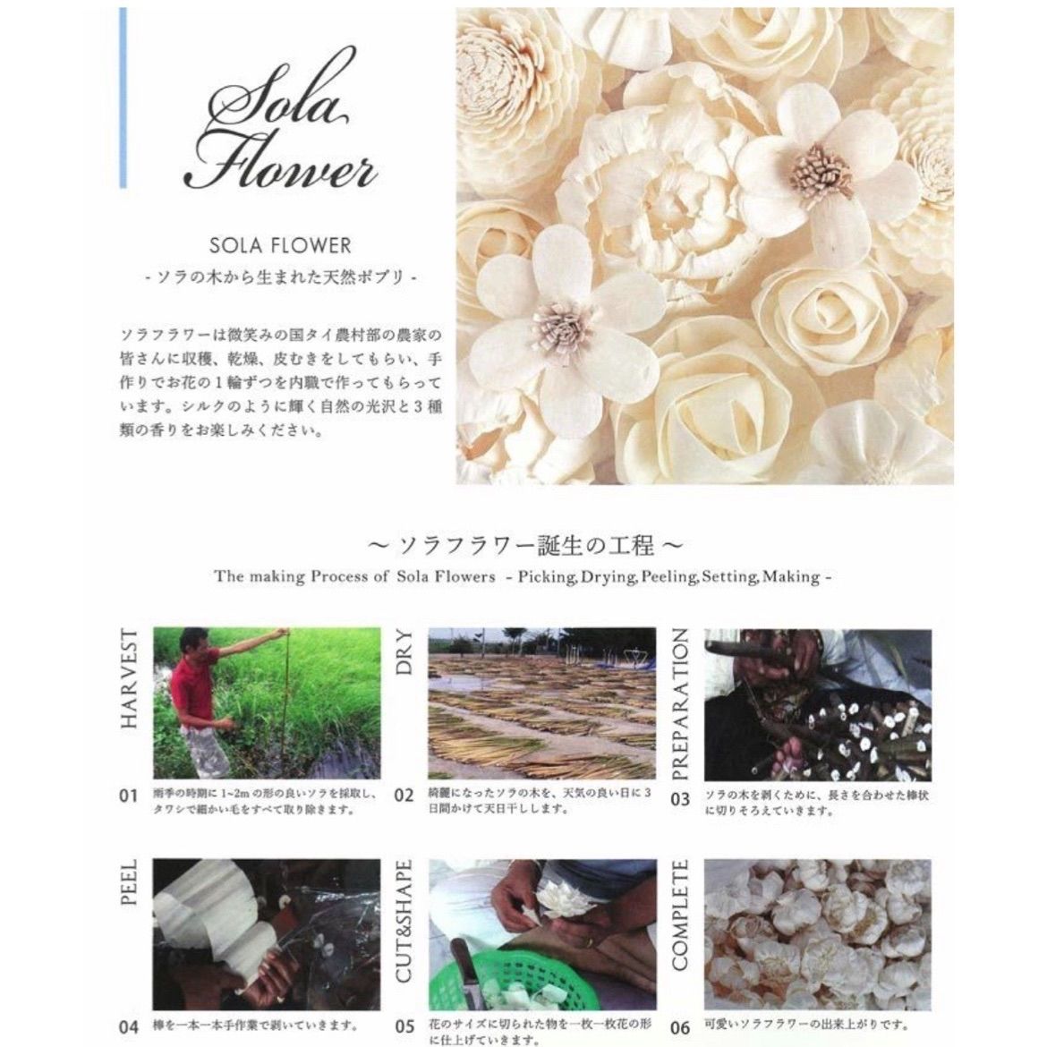 ハイドレンジアース Sola Flower Wreath Gratefulness