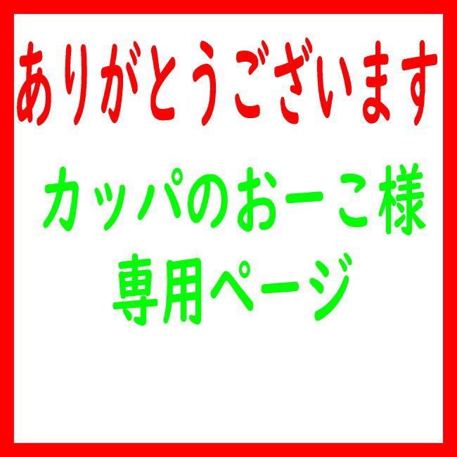 カッパのおーこ様専用ページ】 - メルカリ