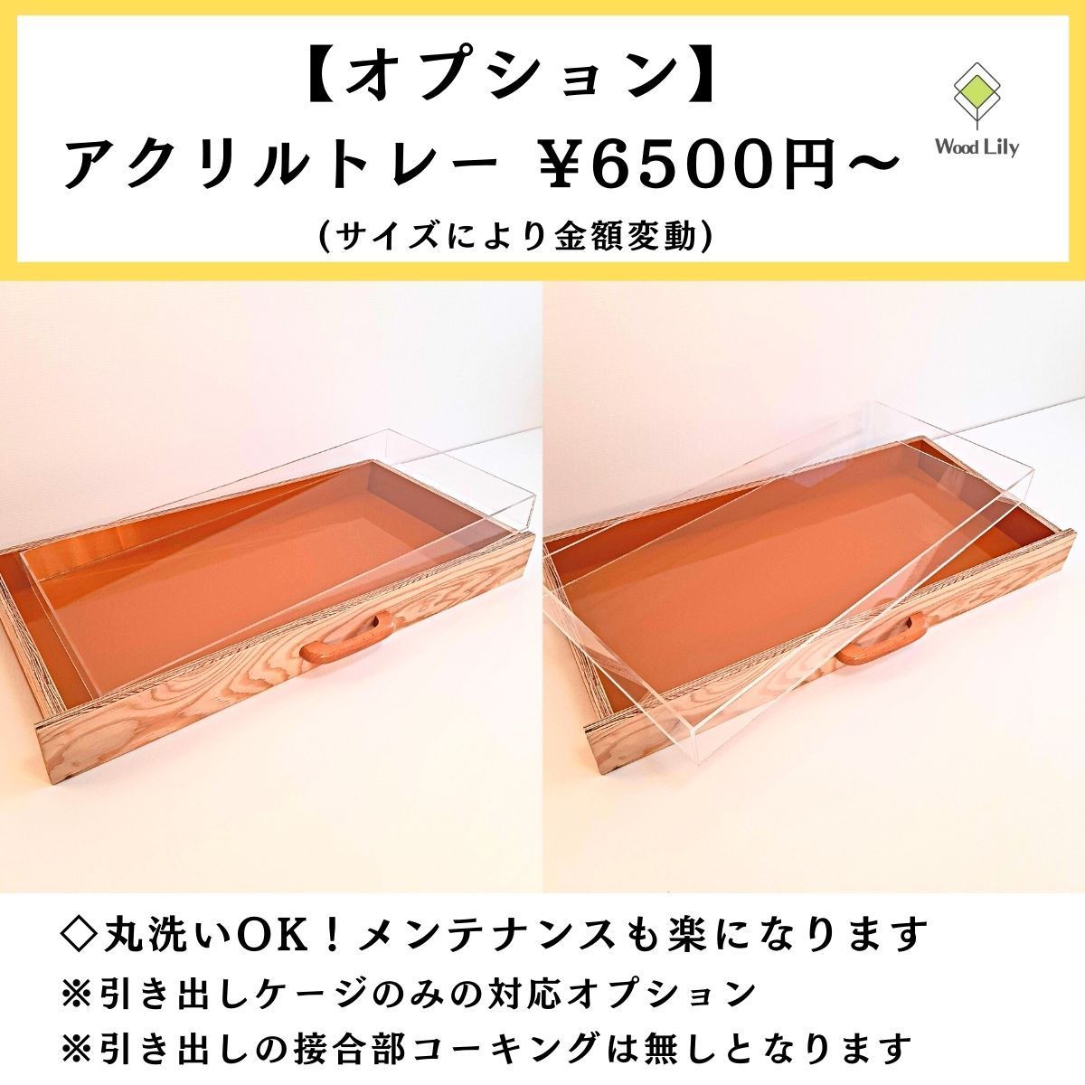 ⭐︎爬虫類ケージ引き出し付き Niesporek 爬虫類 トカゲ ケージ カナヘビ飼育ケース レプタイル