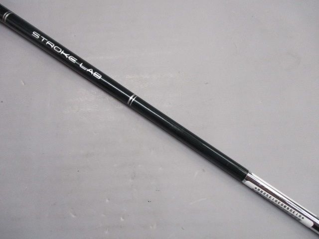 SANDIEGO|STROKE LAB||3