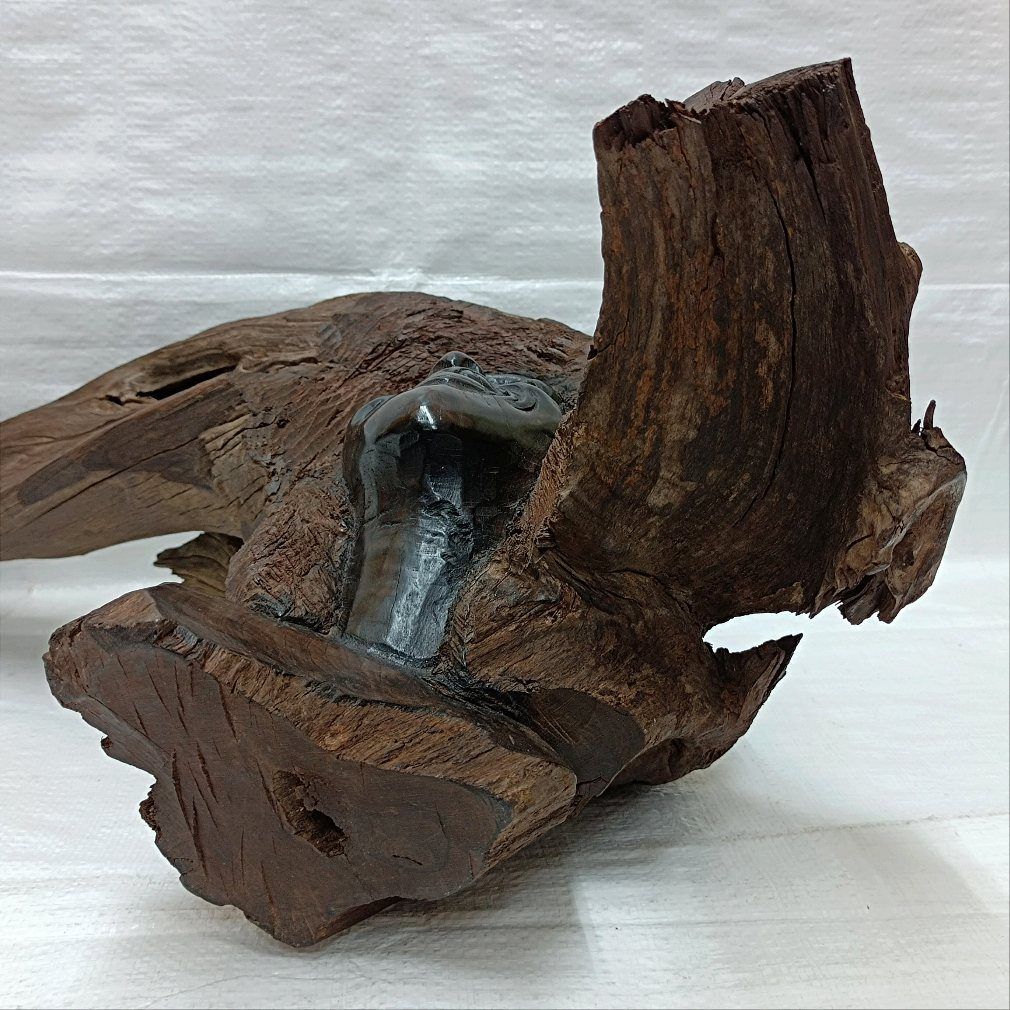 希少　ケニア黒檀無垢　手彫り民族顔　天然木オブジェ　流木　アクアリウム 希少 ケニア黒檀無垢 手彫り民族顔 天然木オブジェ 流木 アクアリウム