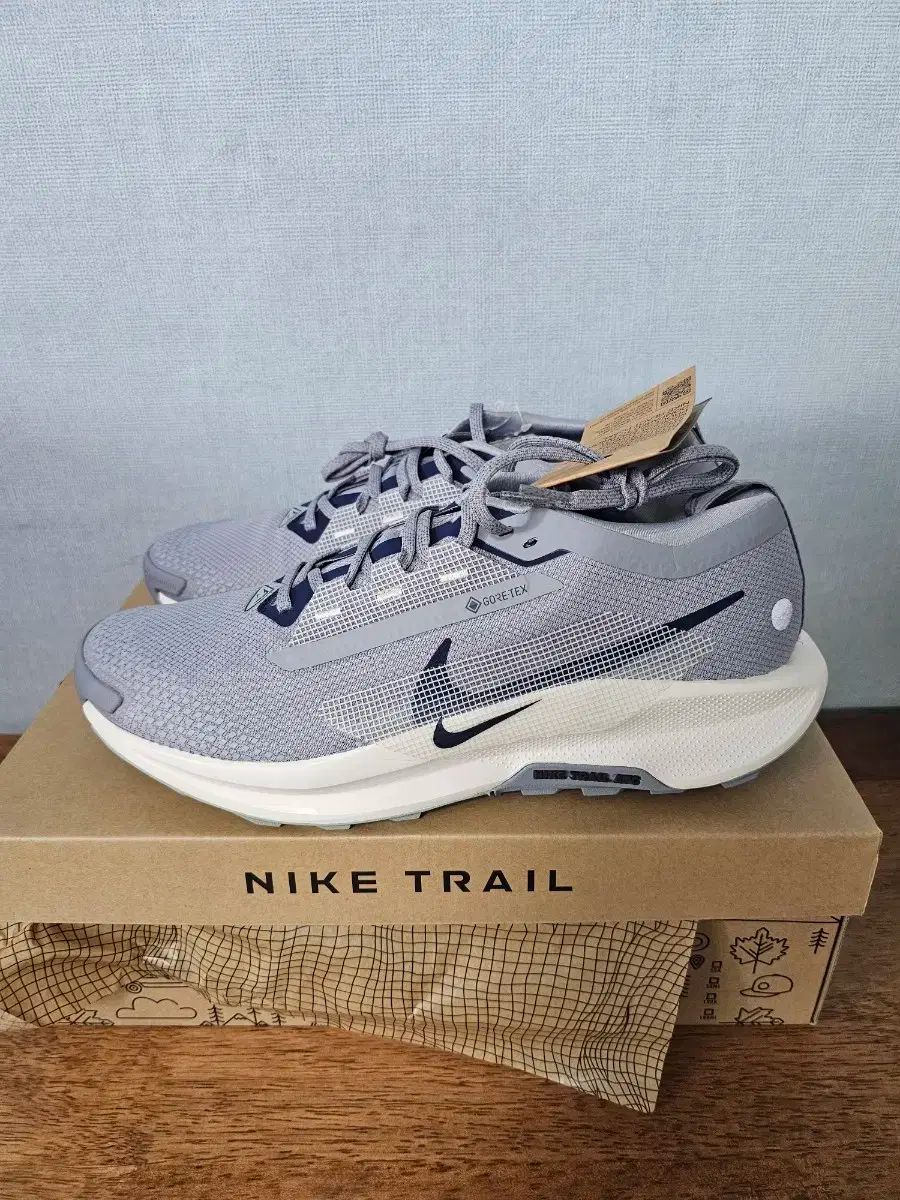 NIKE ナイキ ペガサス トレイル 5 GORE-TEX ゴアテックス 290