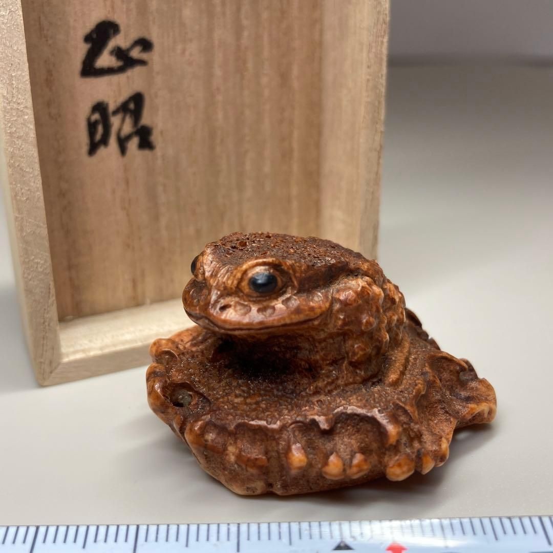 在銘 正昭 蓮の上の蛙根付 木 25g 本Y6-0115 トコサ