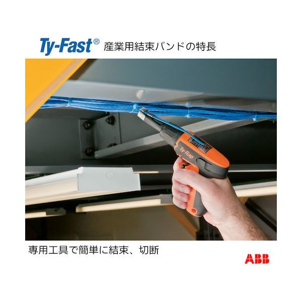 TY720255L 沖縄離島販売不可