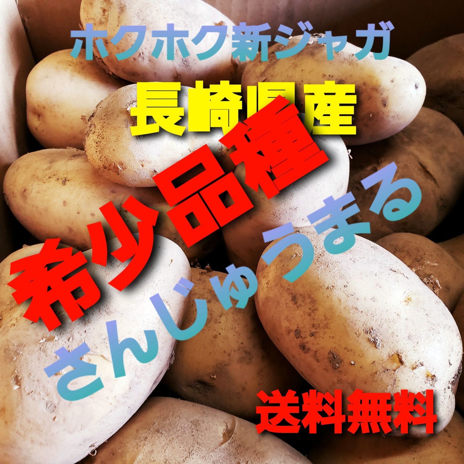 53 Off じゃがいも希少品種 秋ジャガ さんじゅうまる 3キロ じゃがいも Jim Org