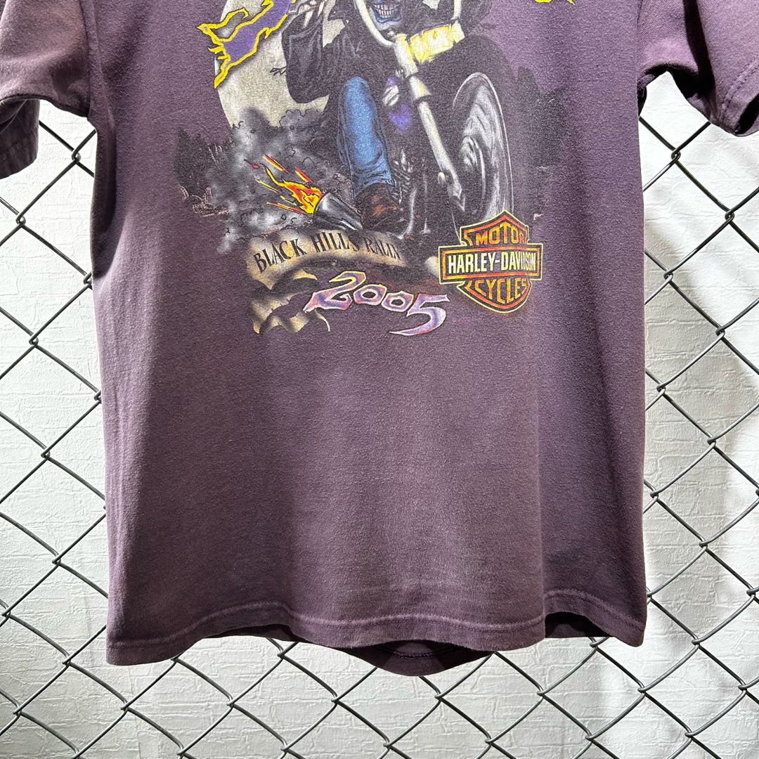 00s HARLEY-DAVIDSON Hanes USA製 2005年 2003年 ハーレー 00s HARLEY-DAVIDSON Hanes USA製 2005年 2003年 ハーレー