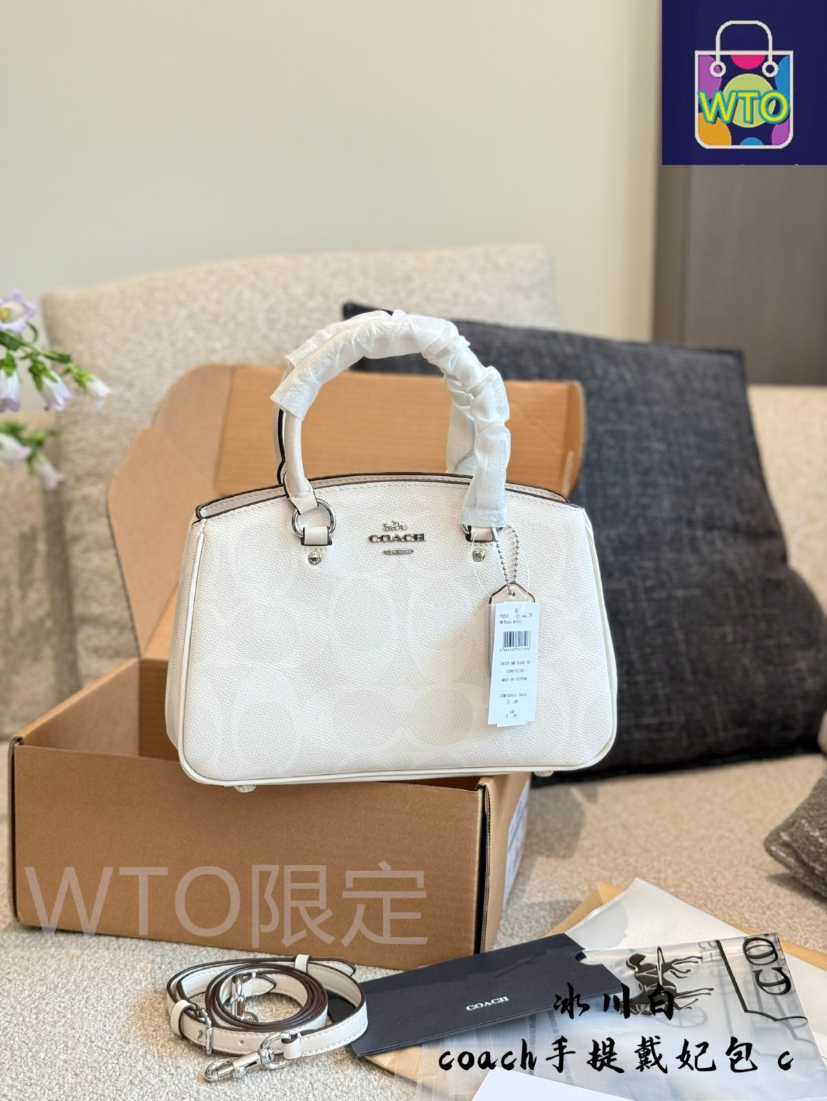 今日 Coach Lady Dior Bag コーチ レディー ディオール バッグ-WTO輸入