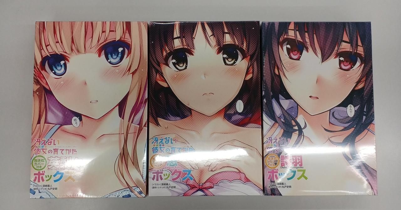 【新品未開封】冴えない彼女の育て方　抱き枕カバー付き恵ボックス Amazon.co.jp: 冴えない彼女の育てかた 抱き枕カバー付き英梨々