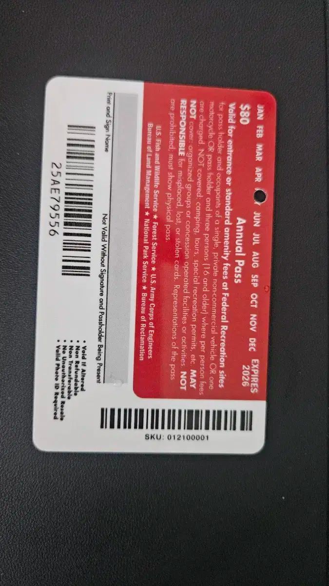 年次 パス annual pass 私はファンです