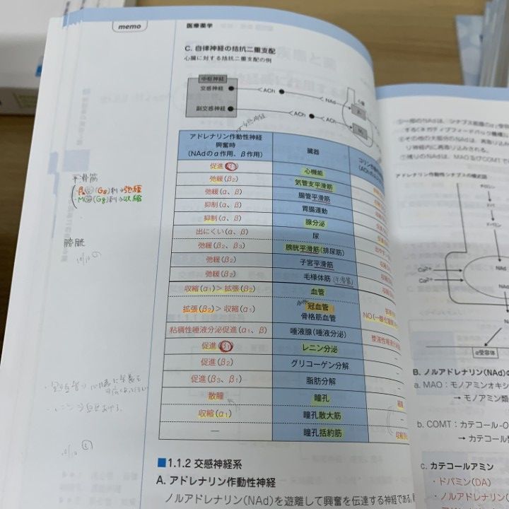 ■02)【同梱不可】薬学・薬剤師関連本・参考書 まとめ売り約55冊大量セット/コアカリマスター重点ポイント集/全国統一模擬試験/B □02)【同梱不可】薬学・薬剤師関連本・参考書 まとめ売り約55冊