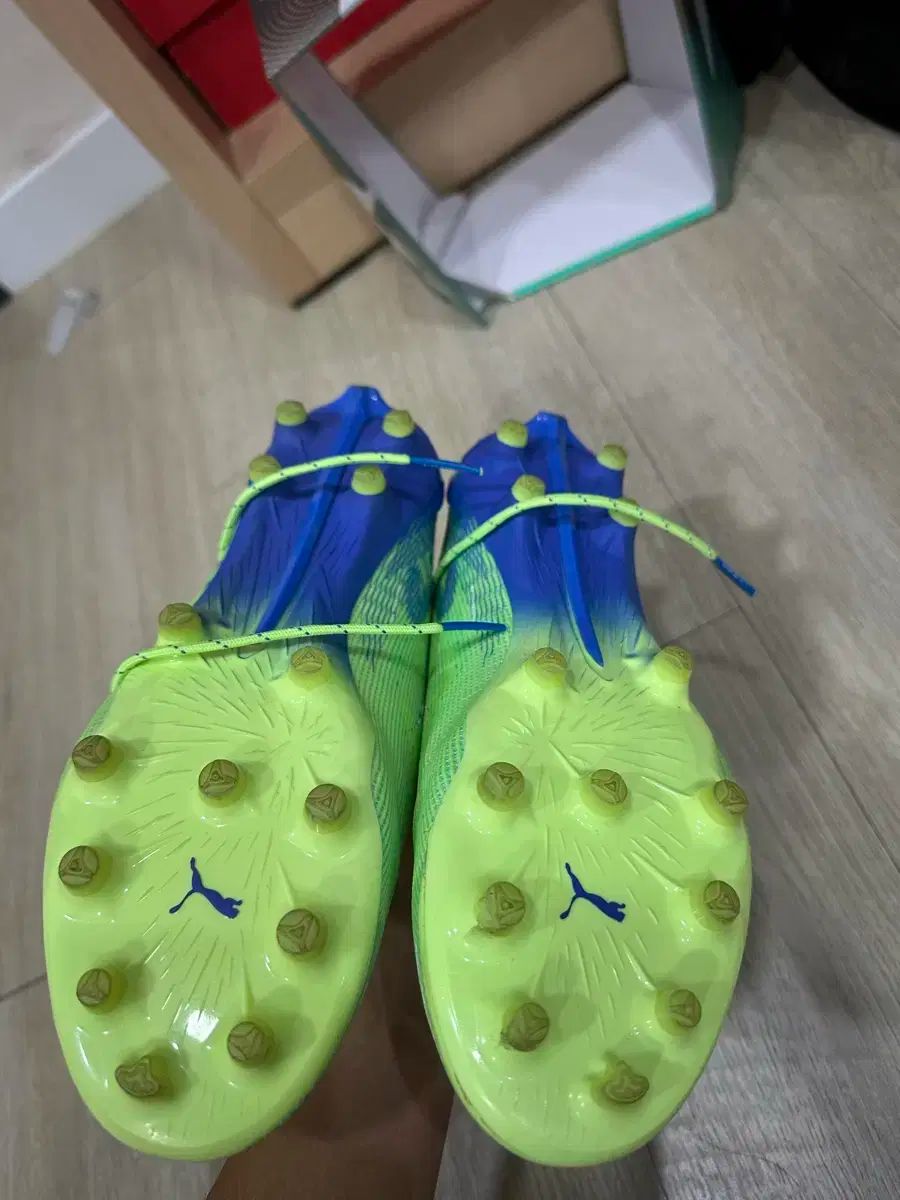 プーマ