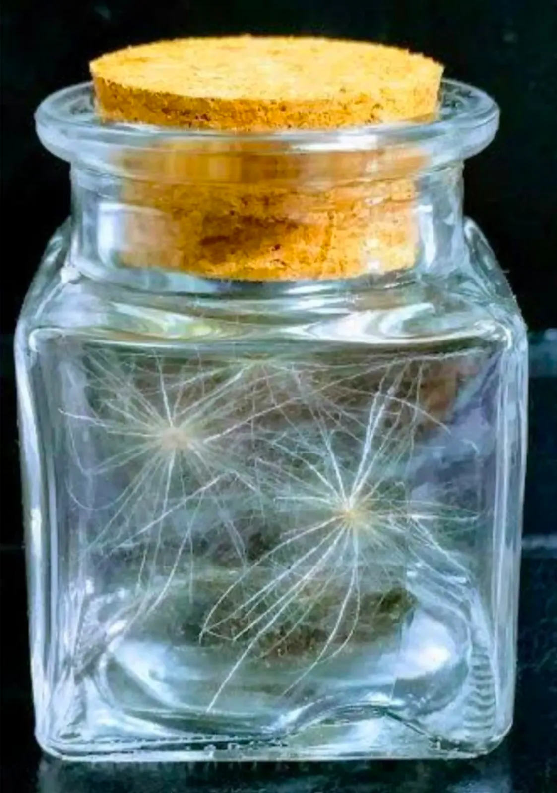 r83HRJsPCQHEt2hZybhLp.png@webp