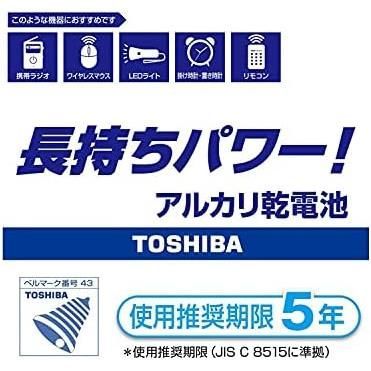 単2形1パック100本入り LR14L