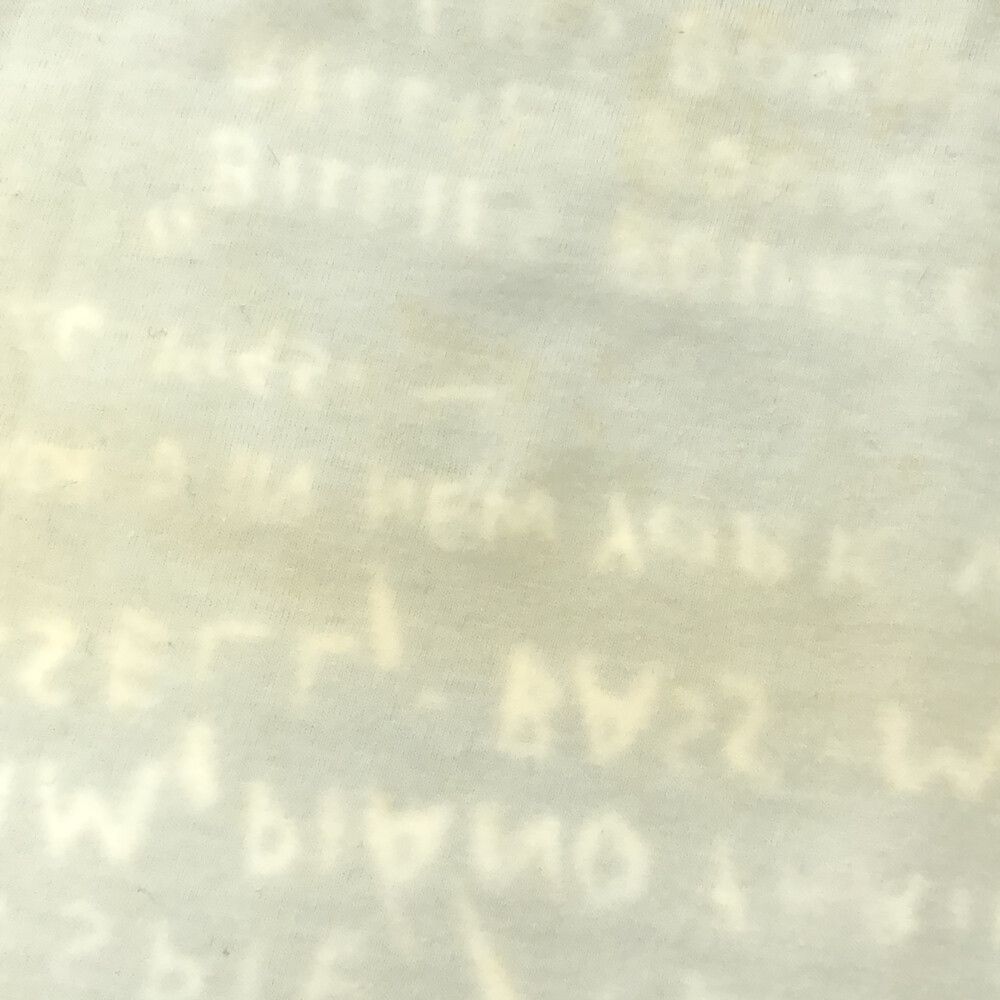 VINTAGE ヴィンテージ 1993 Neues Museum JEAN-MICHEK BASQUIAT Discography One ジャン ミシェル バスキア グラフィックプリント 半袖Tシャツ ホワイト505センチ袖丈