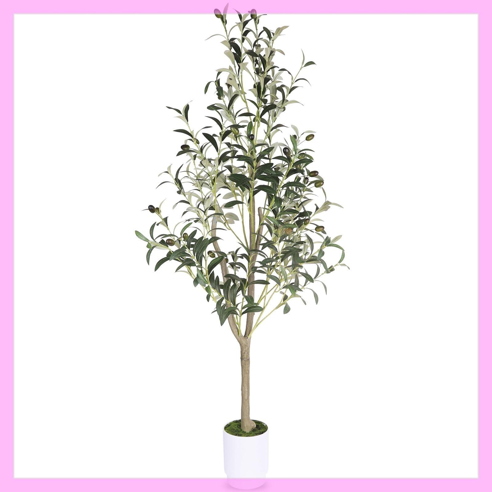 19多肉植物エケベリア〈カット苗〉☆寄植え100苗 【楽天市場】多肉植物