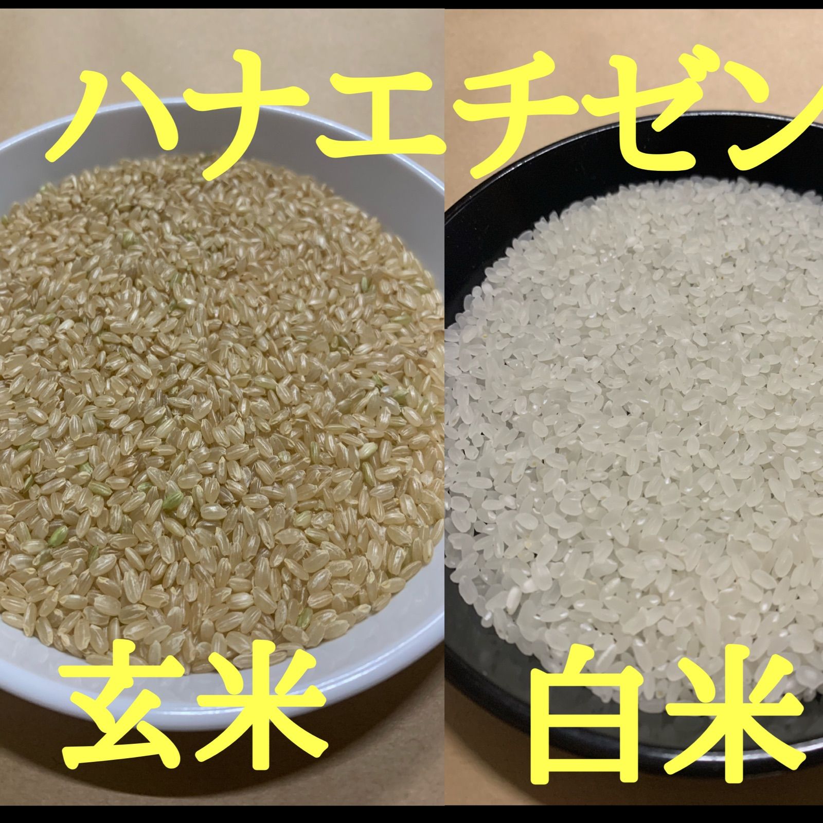 令和5年産 キヌヒカリ 新米 玄米 5キロ 淡路島産 5kg - 米