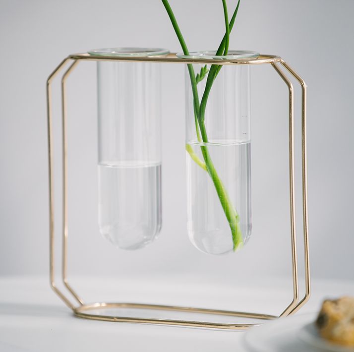 【訳あり】フラワーベース 試験管風 ガラス製 花瓶モチーフのワイヤースタンド (ダブル)