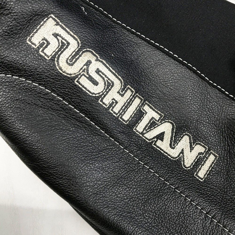 斑入りソテツ子株付きB 斑入りソテツ子株付きB 斑入りソテツ子株付きB 斑入りソテツ子株付きB