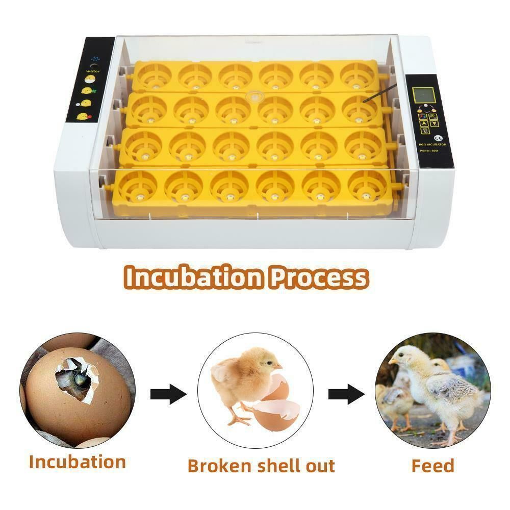 超人気 自動孵卵器