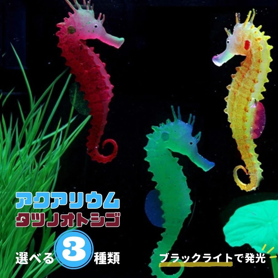 海水魚 タツノオトシゴ ドラゴン ペア - その他