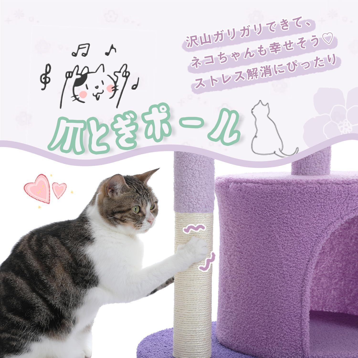 かわいい 猫