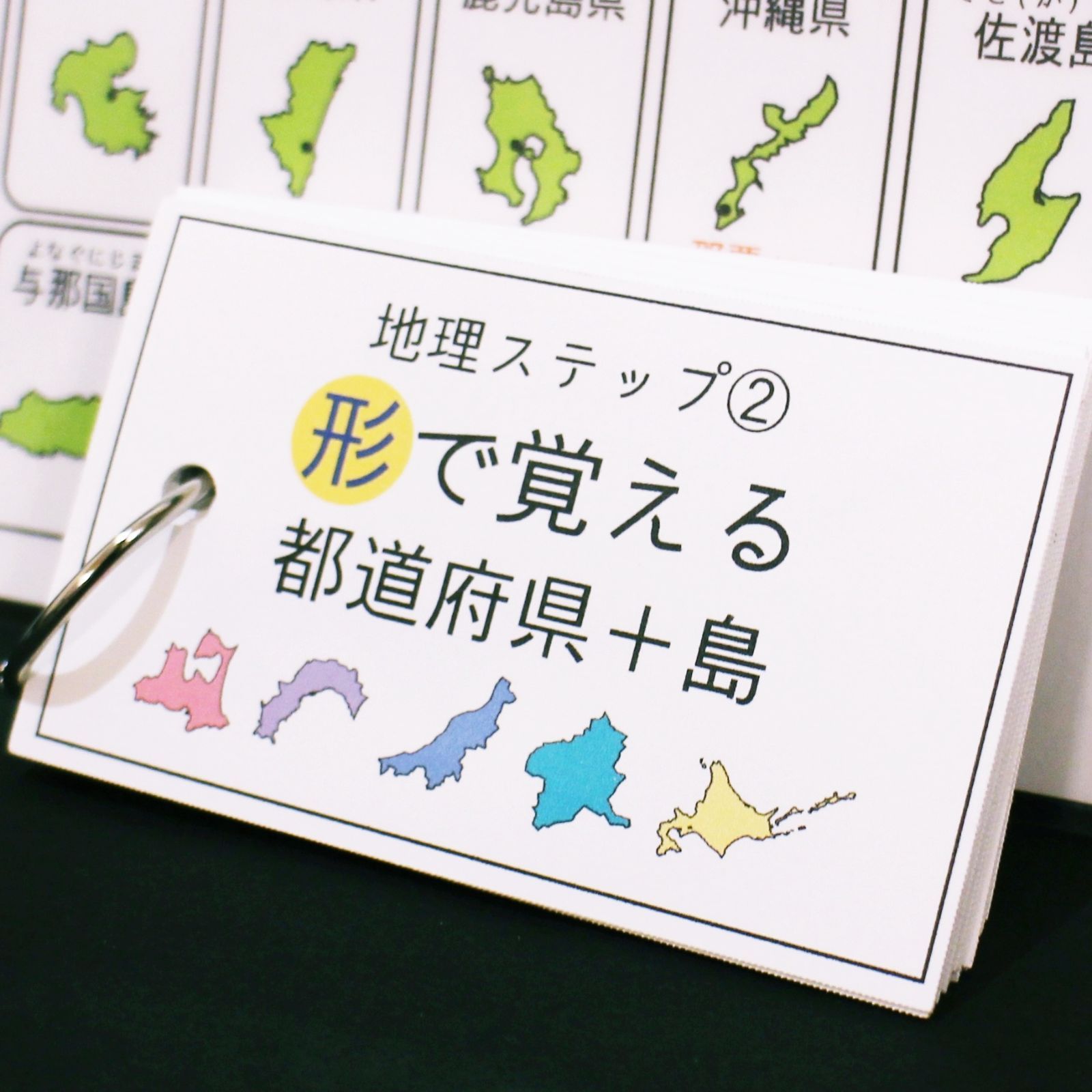 専用　地理2点セット　暗記カード　中学受験　サピックス　予習シリーズ 中学受験 暗記カード 理科 生物 サピックス 予習シリーズ コア