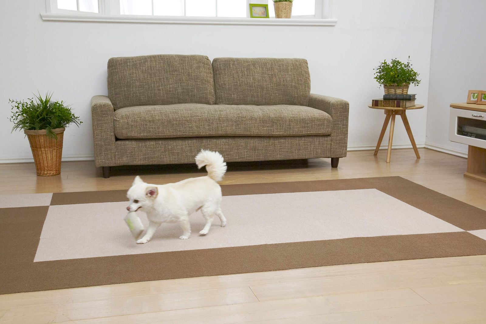 タイルカーペット ペット用 50枚 30x30cm 4mm ペットマット 床に吸着 ズレない 犬用 滑り防止 タイルマット カーペット 撥水加工 日本製(ベージュ)