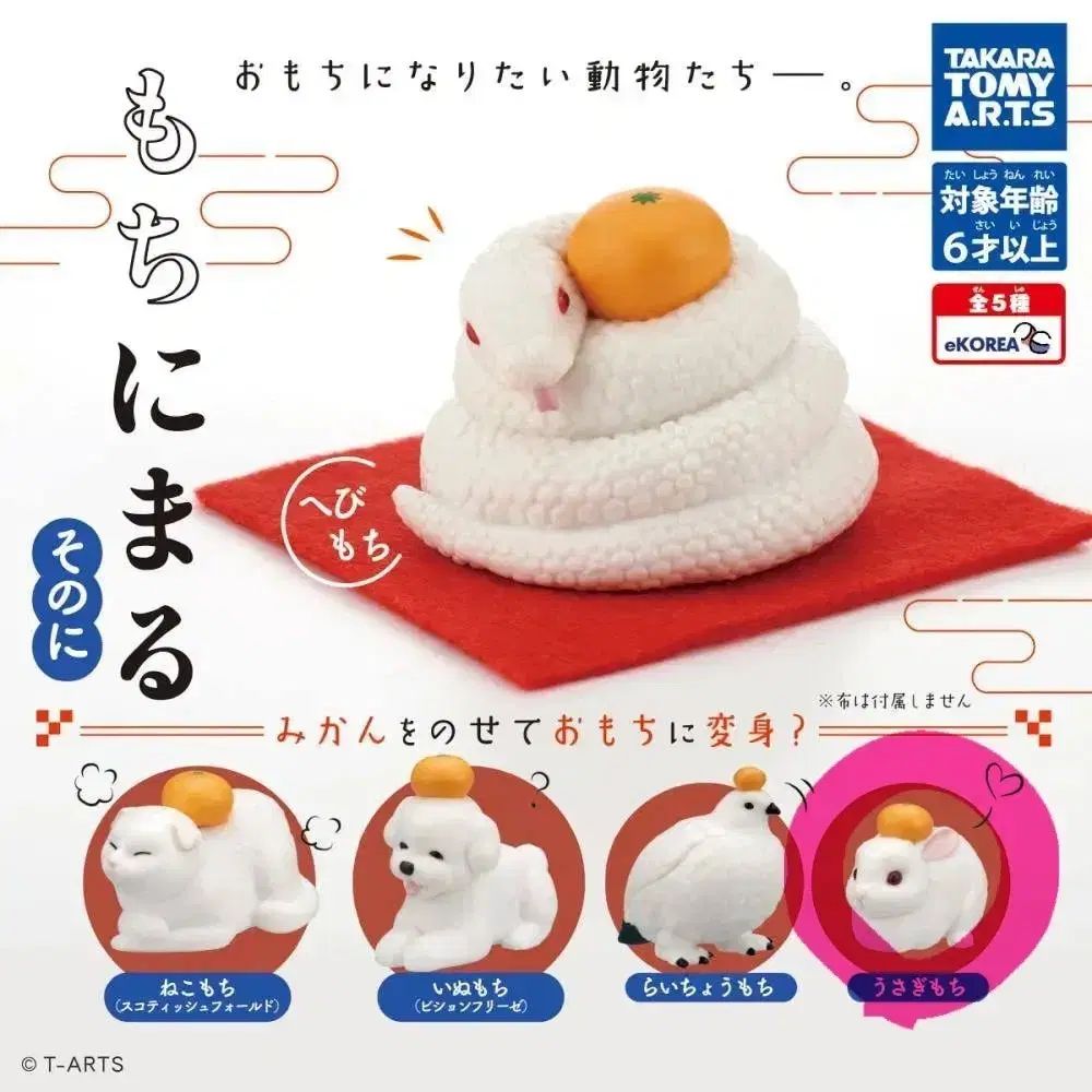 C92 ロロログフルカラータオル 4枚セット 白もち桜 ナツイロココロログ