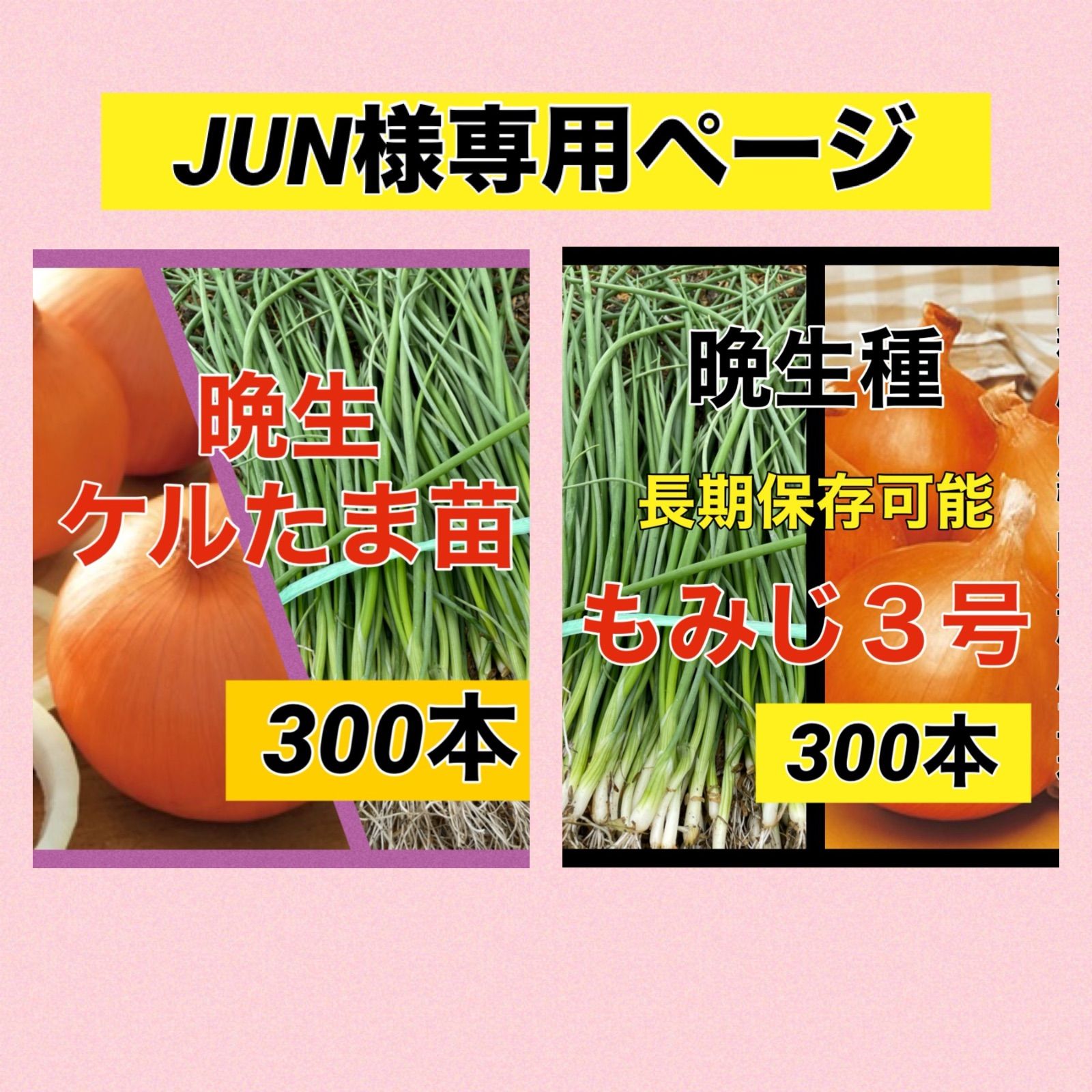 Jun様専用ページ - メルカリ