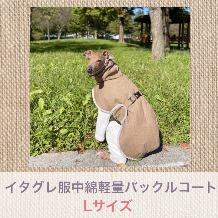 イタグレ服 L 中綿軽量バックルコートdoggystarイタリアングレーハウンド