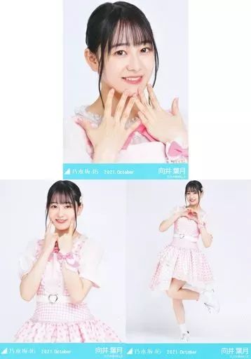 【即購入歓迎】乃木坂46 向井葉月 生写真まとめ売り 向井葉月 コンプまとめ売り② 乃木坂46 生写真 生写真 向井葉月