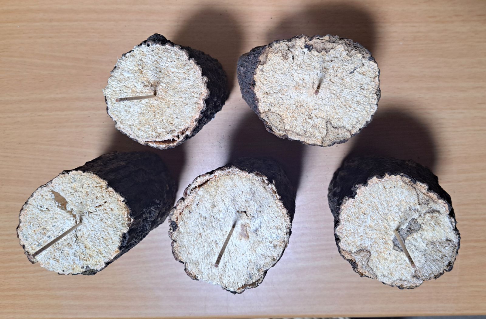 nobitaki【愛媛産】くぬぎ黒炭　細い切端５.５㎏×2箱 nobitaki【愛媛産】くぬぎ黒炭 細い切端5.5㎏×2箱 愛媛産 】切れ端