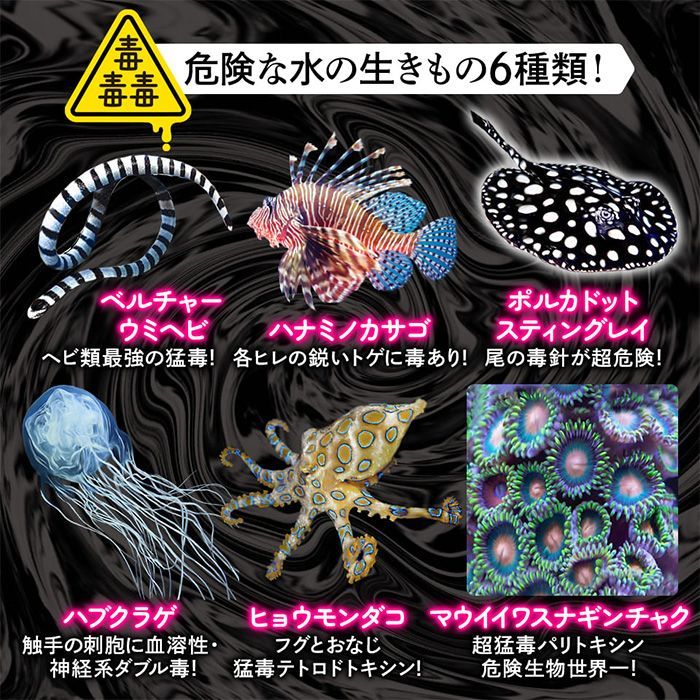 キューブ パズル 知育玩具 おもちゃ 水の生き物 海の生き物