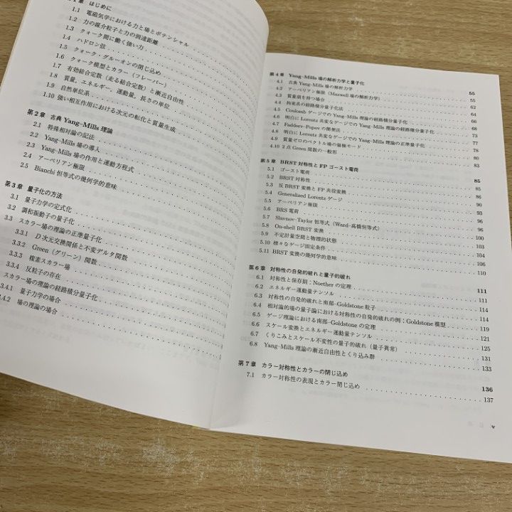 SGCライブラリ 45 ゲージ場の量子論入門（臨時別冊・数理科学） ゲージ場の量子論入門【電子版】 - 株式会社サイエンス社 株式