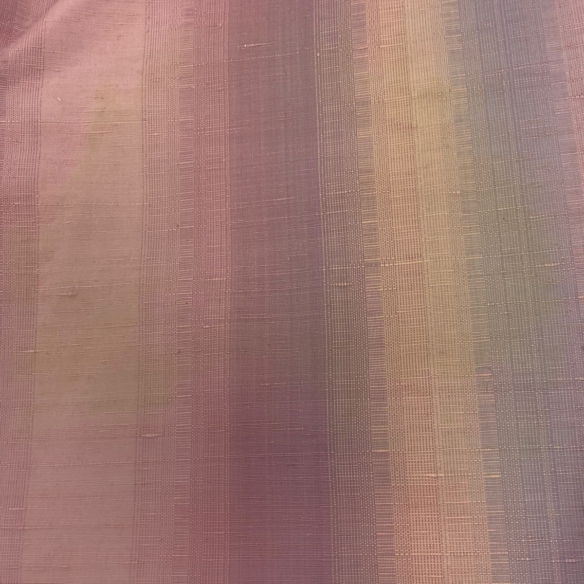 身丈159cm