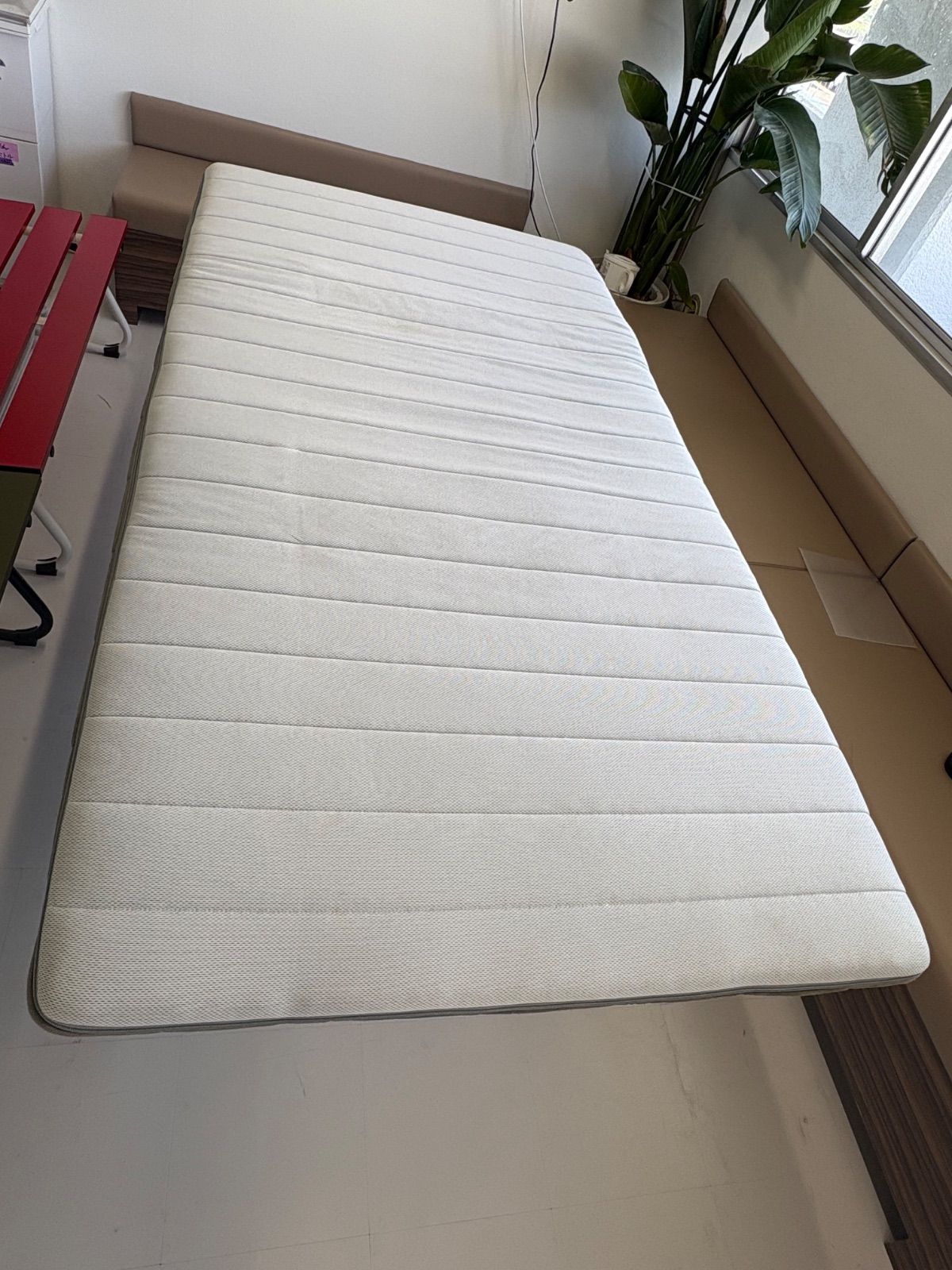 カバーオリーブ