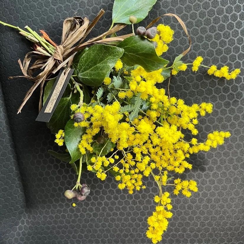 SOLD＊フレッシュ ミモザ スワッグ＊Spring swag ドライ フラワー ミニ