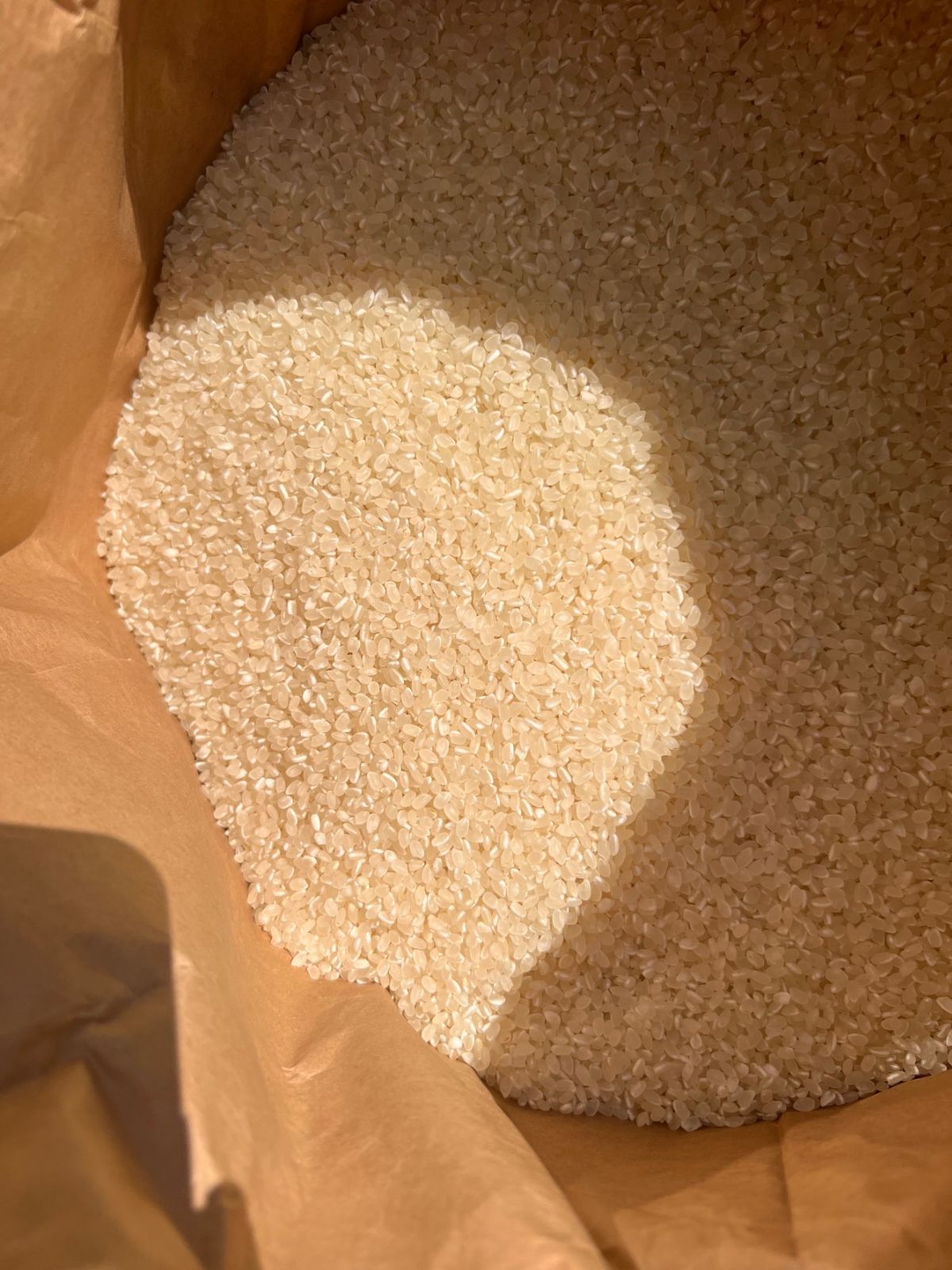 ネ*ナ様 農家直送【玄米】あきさかり 10kg 令和6年 広島県産 ネ*ナ様 農家直送【玄米】あきさかり 10kg 令和6年 広島県