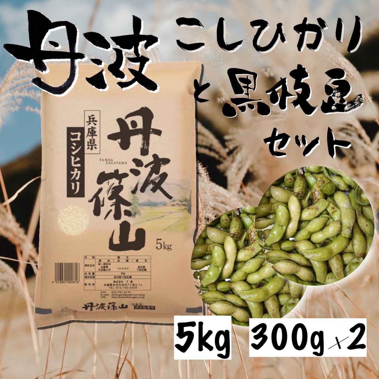 兵庫の名産品🌾新米🌾丹波篠山こしひかり5kgと丹波黒枝豆(300g×2袋) - メルカリ