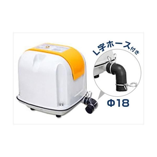 ウィンタースポーツ GOLDWIN スキージャケット G11510P Mサイズ