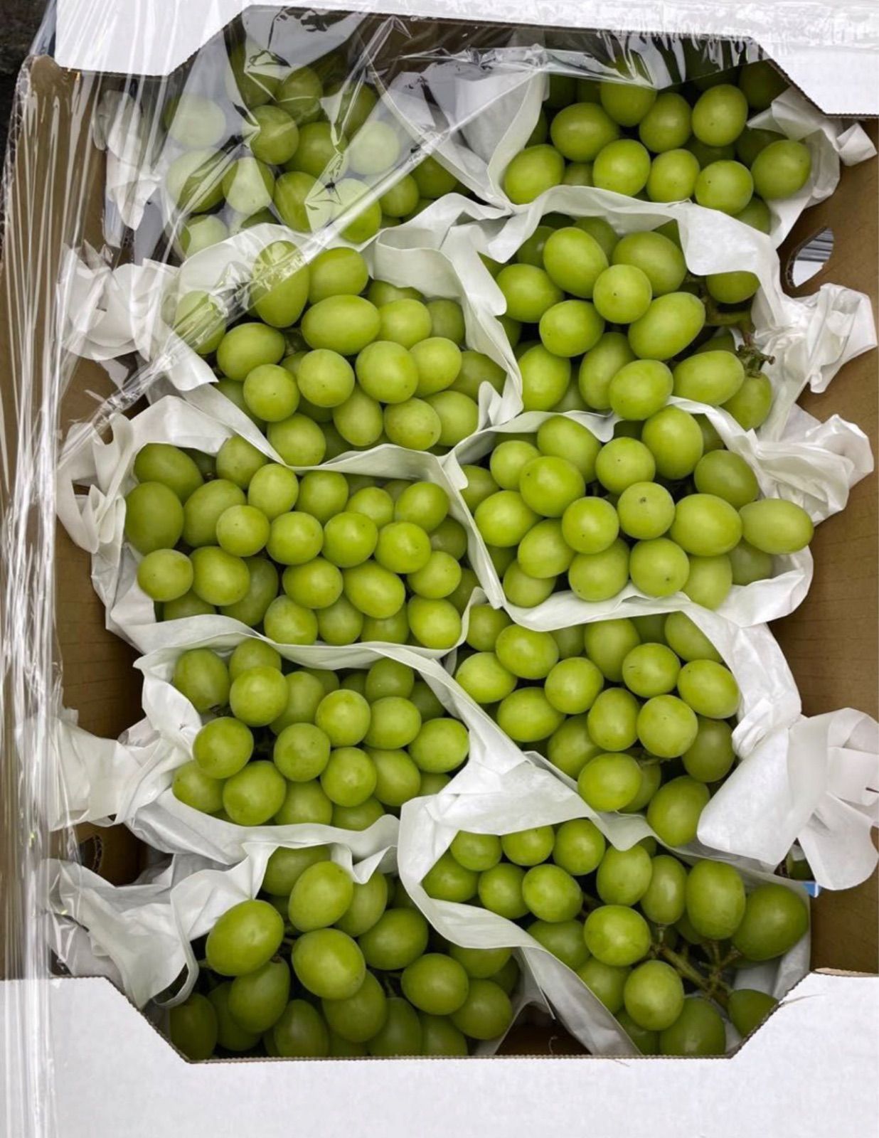 山梨県 長野県 山形県 シャインマスカット ブトウ 葡萄 ぶとう 贈り物